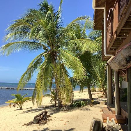 Reef Beach House - 2 Bedrooms Sandy Bay Bagian luar foto